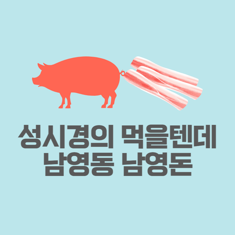 남영돈먹을텐데