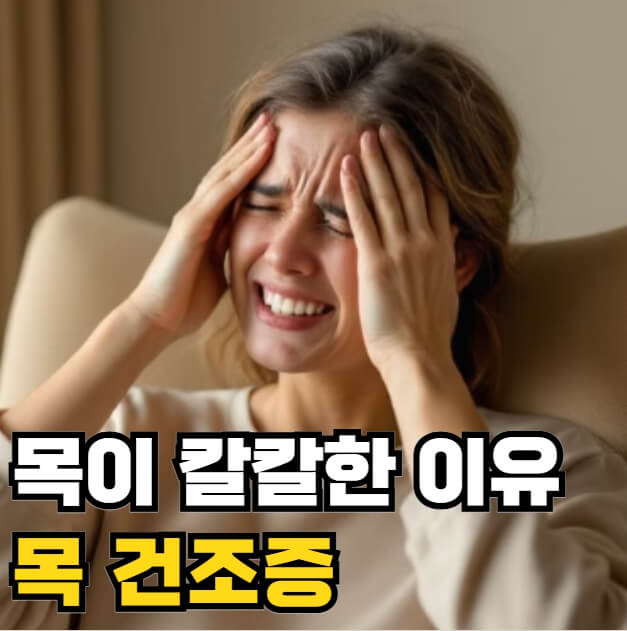 목이 칼칼한 이유 목 건조증