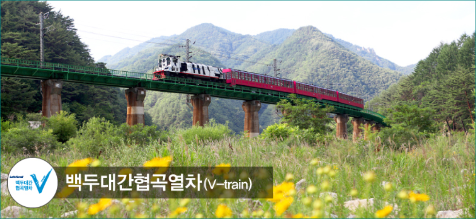 백두대간 협곡열차 전경