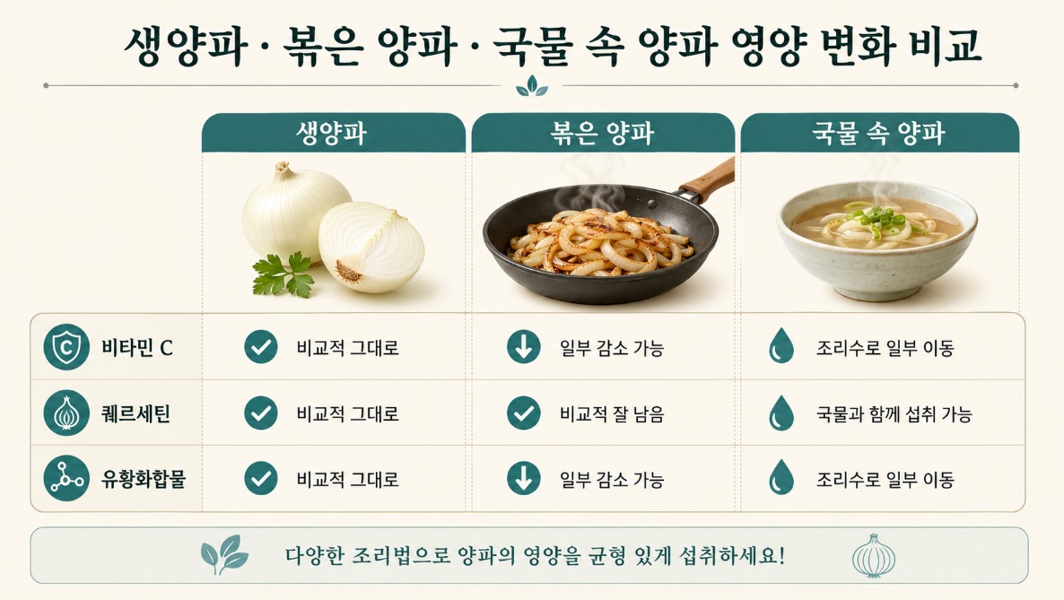 생양파와 볶은 양파, 국물에 넣은 양파의 영양 성분 변화를 비교한 인포그래픽