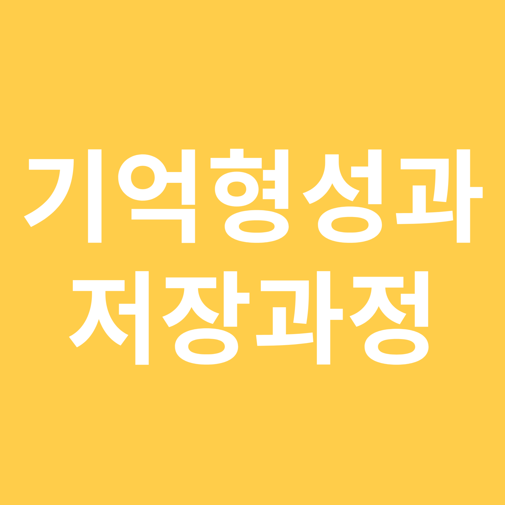 기억형성과 저장과정 관련 이미지