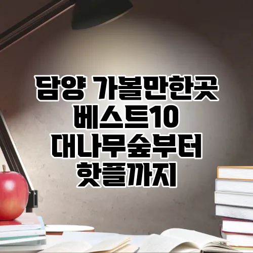 담양 가볼만한곳 베스트10 대나무숲부터 핫플까지