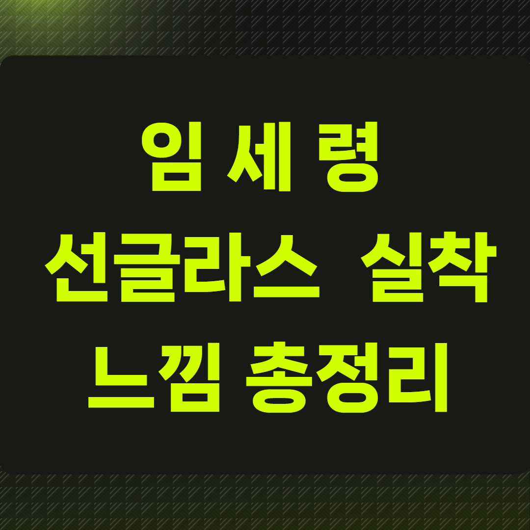 임세령 선글라스 실착 느낌 총정리