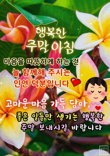 프랑지파니 꽃 배경 위에 ‘행복한 주말 아침’ 문구와 감사 메시지가 함께 적힌 따뜻한 인사말 이미지