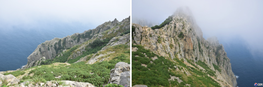 수국이 피는 바다 마을, 욕지도 수국 명소 완전 정리