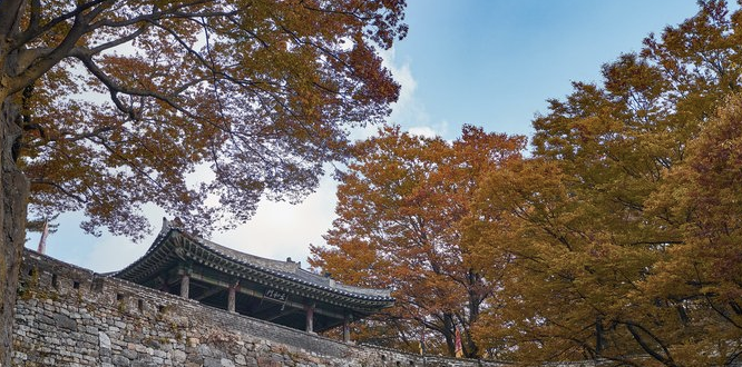 가을 단풍 구경3