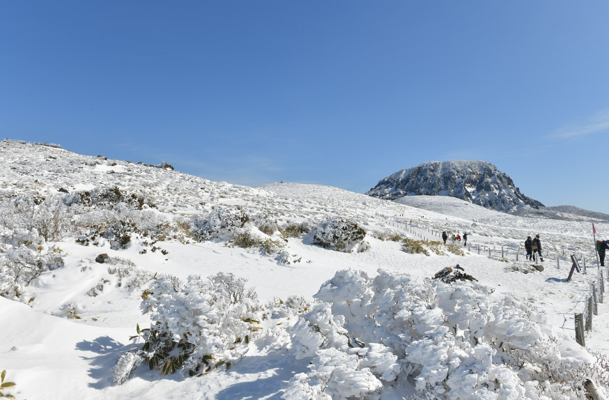 겨울 산행 필수 여행 코스: 한라산, 설악산, 눈꽃