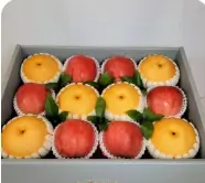 2025년 추석 선물 트렌드와 연령대별 선호도