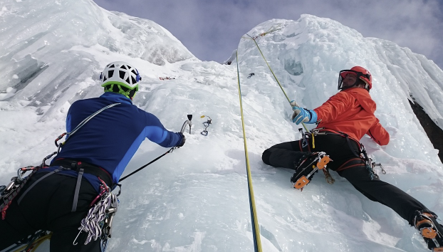 호르몬 성격 테스트