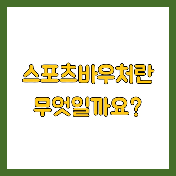 스포츠바우처 신청방법 지원자격 및 주의사항