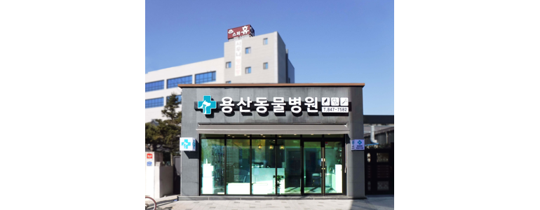 충주시 동물병원