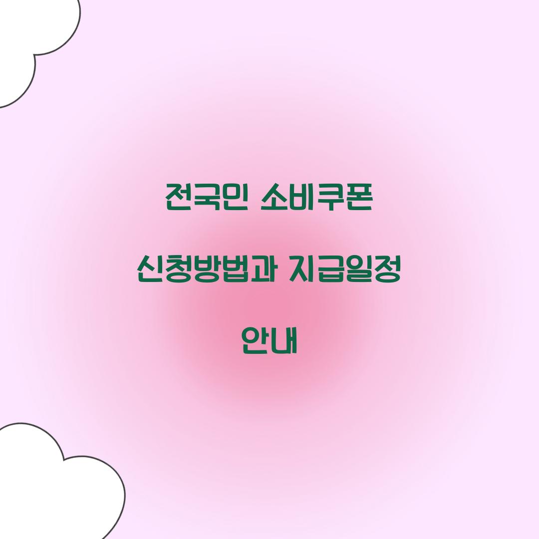 전국민 소비쿠폰