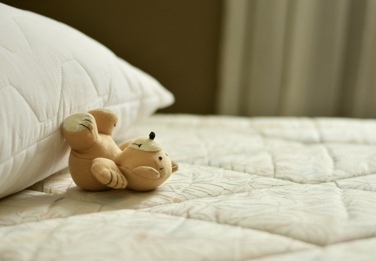 신생아 배꼽 귀지 관리