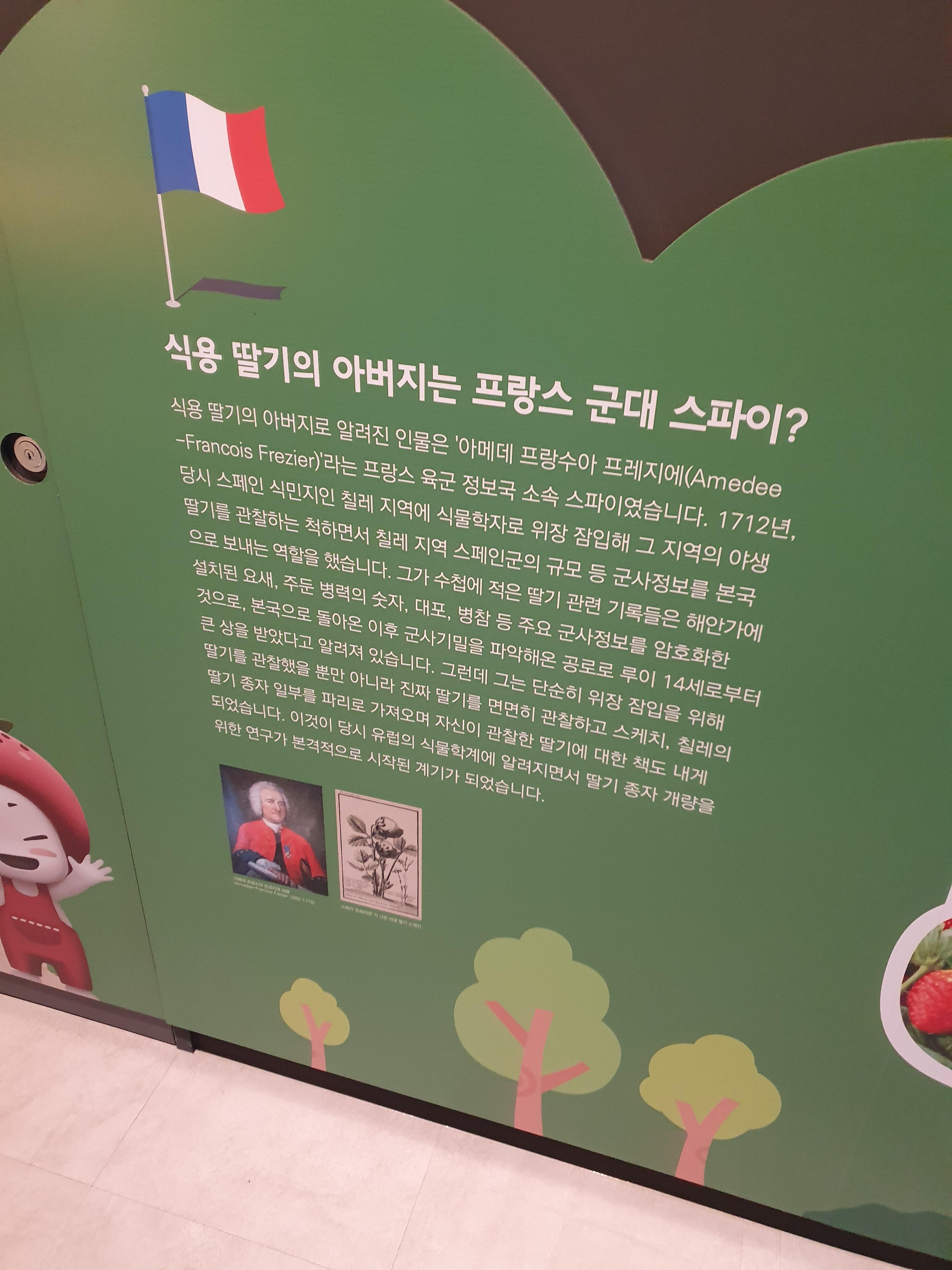 논산 딸기테마관 식용딸기의 역사