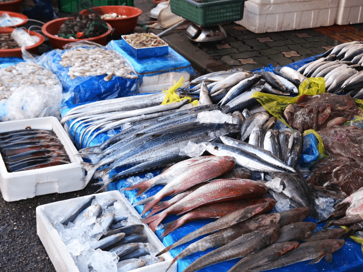 고향사랑기부제 안 하면 손해인 이유