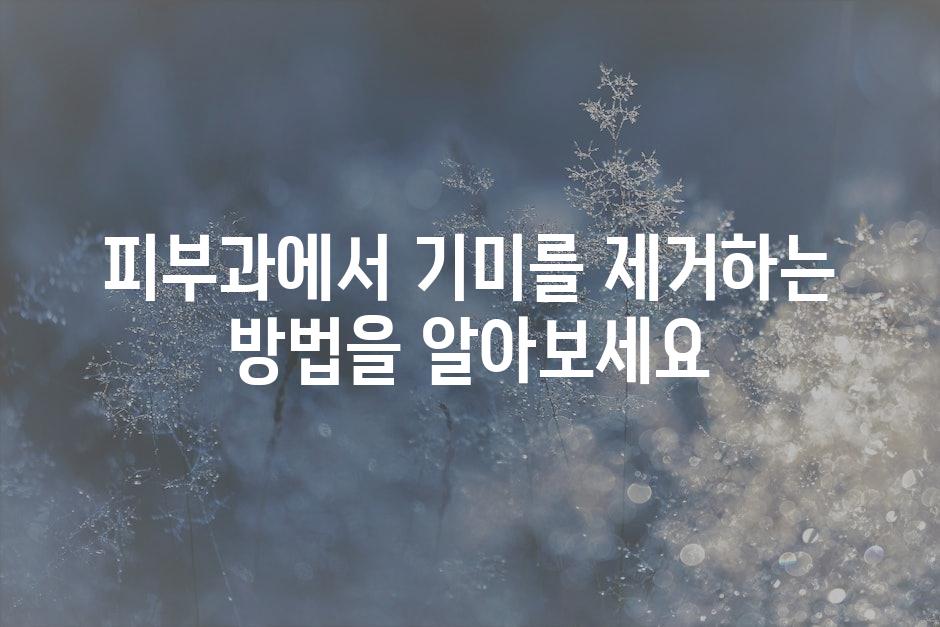 샘플 (47)