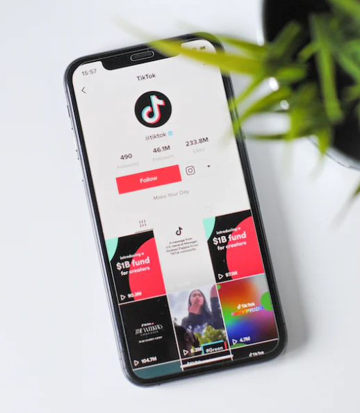 틱톡 수익구조, 영상수익, 광고수익1