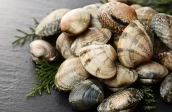 바지락 효능 보관방법 씻는법 해감시키는법_29