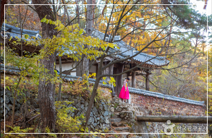 가을단풍기차여행