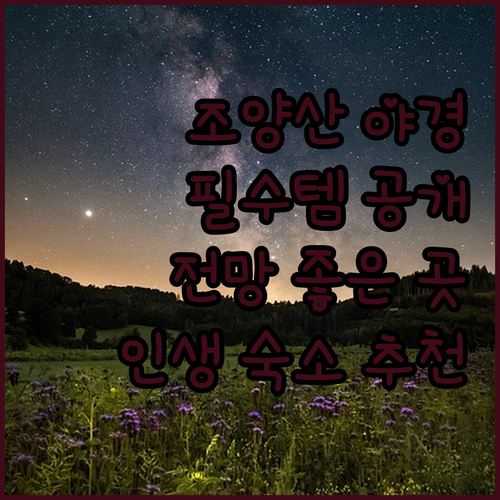 정선 조양산 야경 산행 필수 아이템 ..