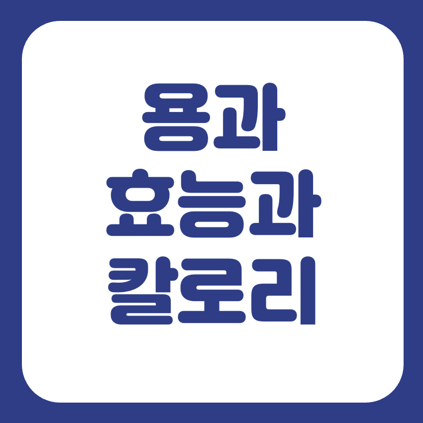 용과 효능과 칼로리