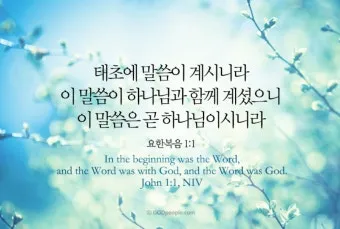 요한복음 3장 3절 성경말씀 - 예수께서 대답하여 이르시되 진실로 진실로 네게 이르노니 사람이 거듭나지 아니하면_9