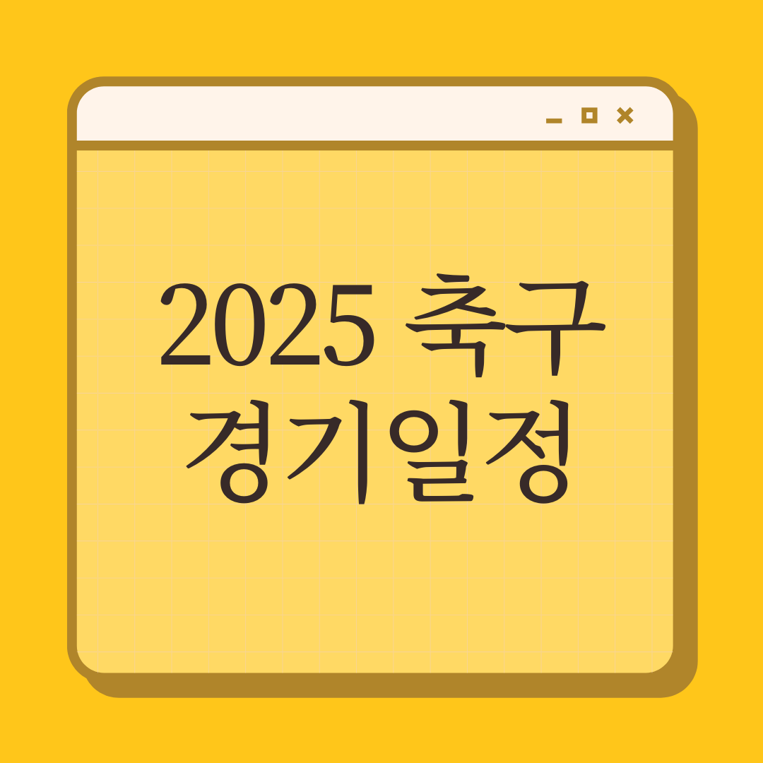 국가대표 축구경기일정