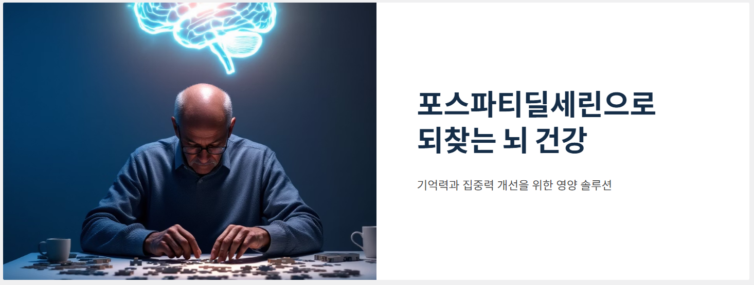 포스타디딜세린 성분, 효능, 부작용, 복용후기!