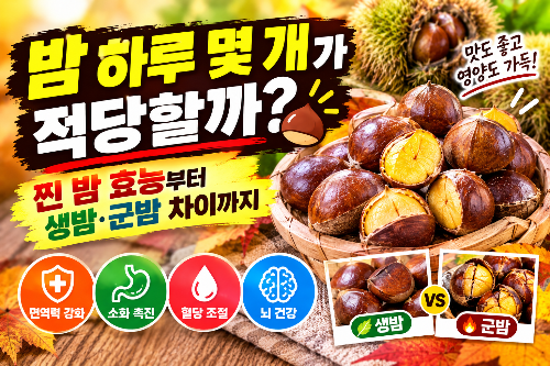 밤 하루 몇 개가 적당할까? 찐 밤 효능부터 생밤&middot;군밤 차이까지