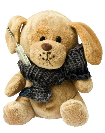 독감예방접종 비용