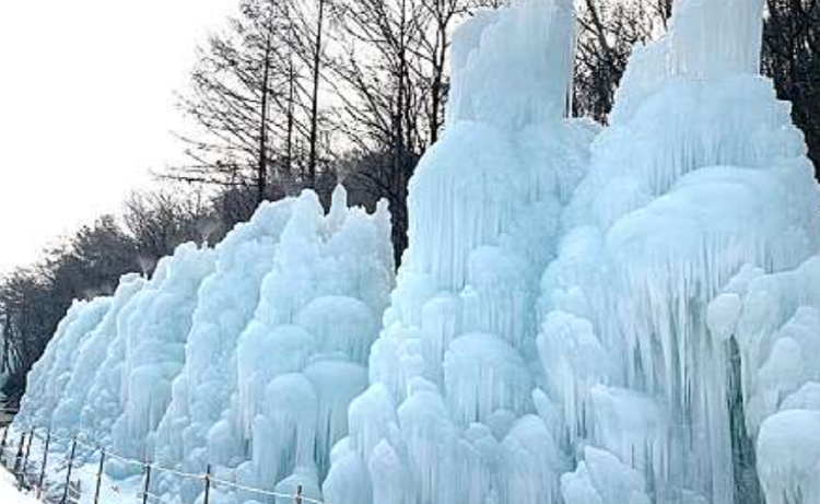 청양 알프스마을