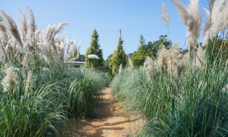 태안 청산수목원