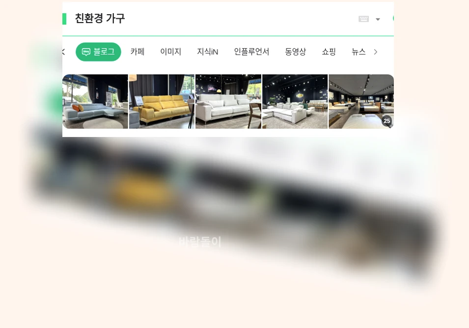 친환경 가구_1_subsection