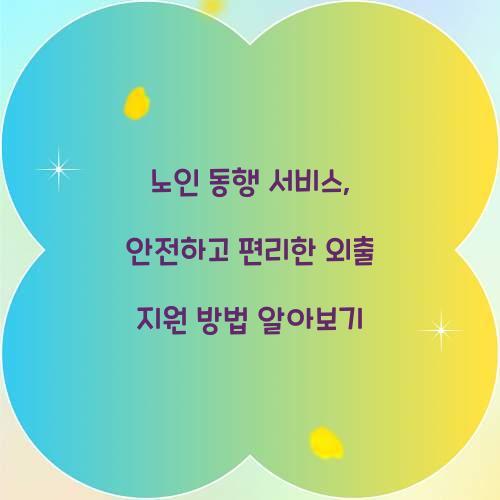 노인 동행 서비스