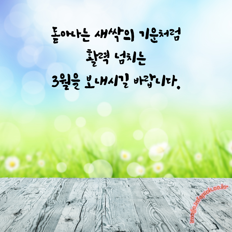 3월 인사말 문구 이미지 모음집3월 인사말 문구 이미지 모음집