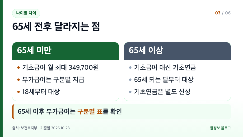 장애인연금 65세 미만과 65세 이상 비교 기초급여 기초연금 전환 별도 신청 안내