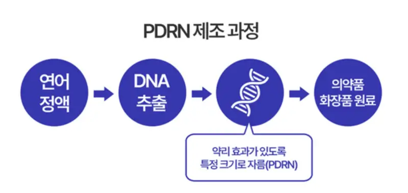 연어PDRN-제조과정