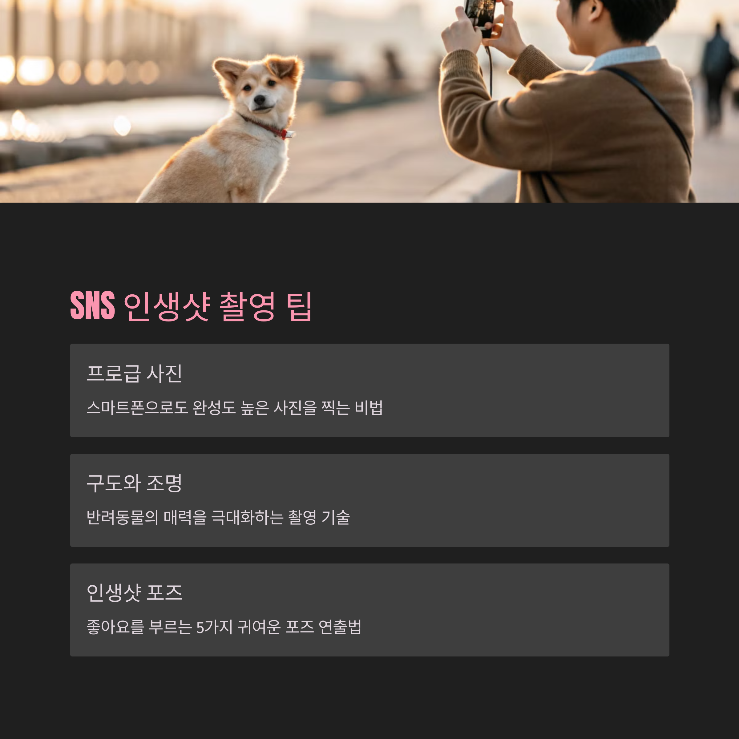 반려동물과 함께하면 더 행복해지는 7가지 특별한 활동