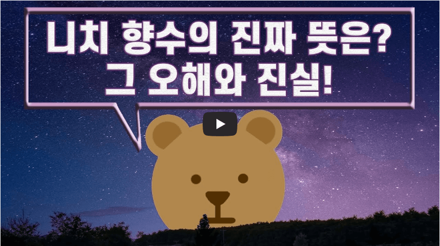 밤하늘 배경 위에 '니치 향수의 진짜 뜻은? 그 오해와 진실!'이라는 문구가 큼직하게 표시되어 있고, 중앙에는 곰 캐릭터와 재생 버튼 아이콘이 있는 썸네일 이미지