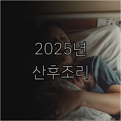 2025 고양시 산모·신생아 건강관리..