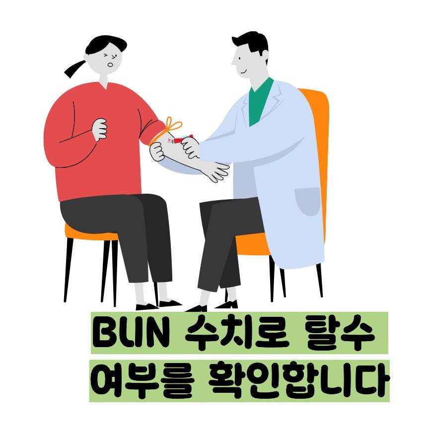 BUN 수치