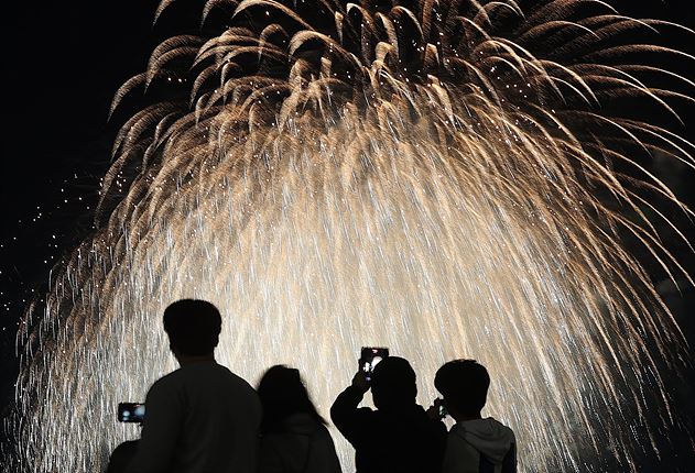 세계불꽃축제 명당 및 생중계 정보