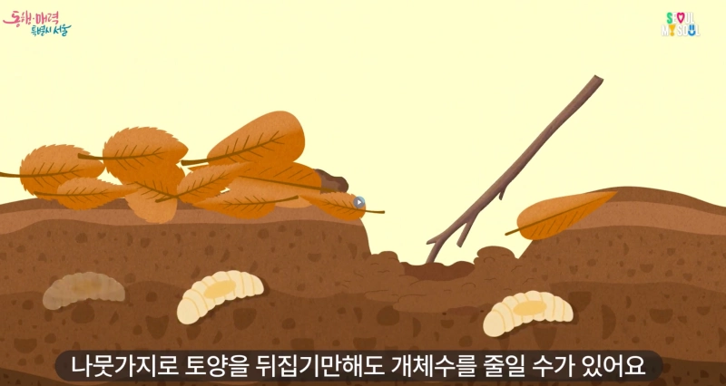 러브버그 퇴치 방법