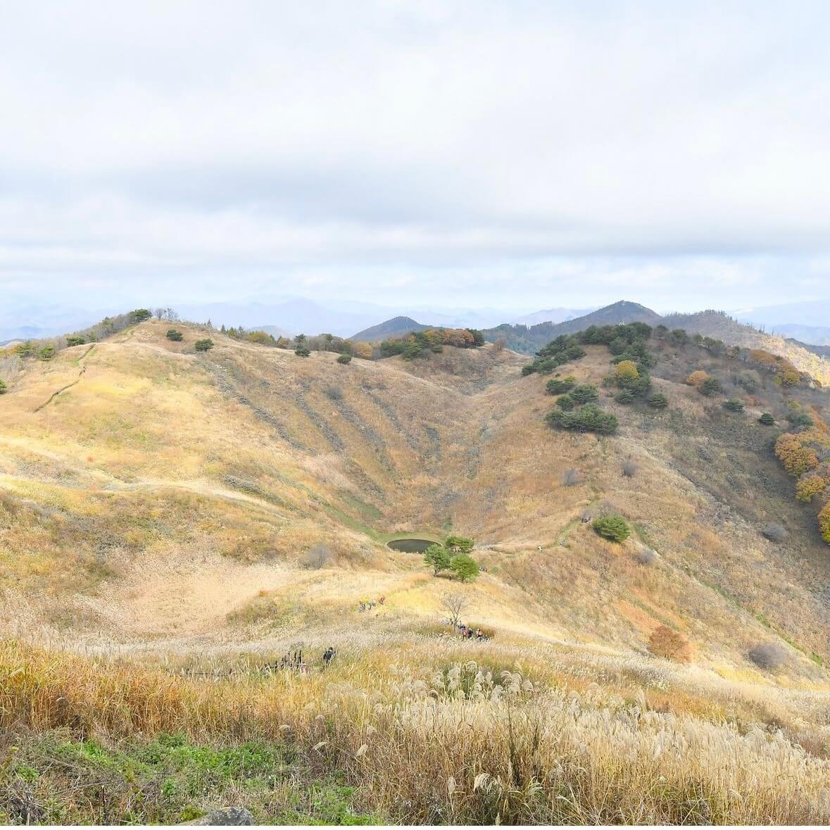 민둥산 억새꽃축제