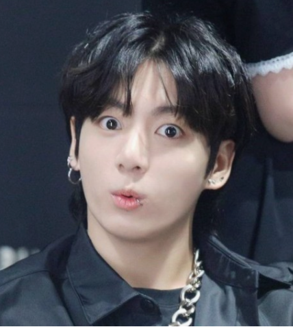 BTS 정국 팬송 프로필