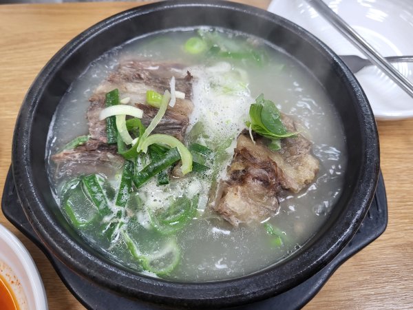 집주집-꼬리토막1