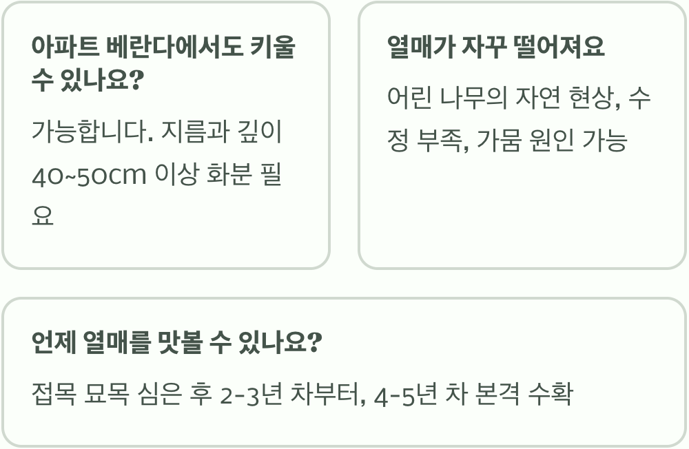 실패 없는 포포나무 키우기 A to Z (모종 심기, 물주기, 가지치기)