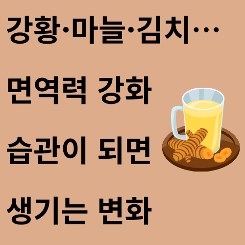 강황·마늘·김치… 면역력 강화 습관이 되면 생기는 변화