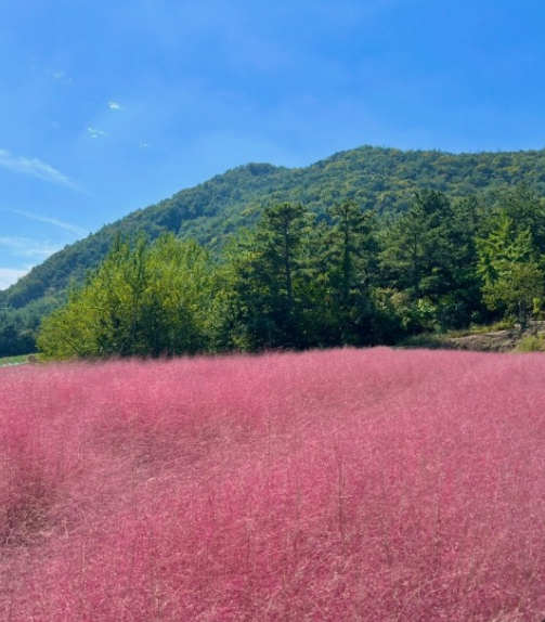 10월 가을축제 BEST 5