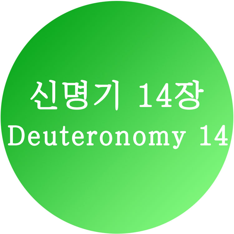 신명기14장